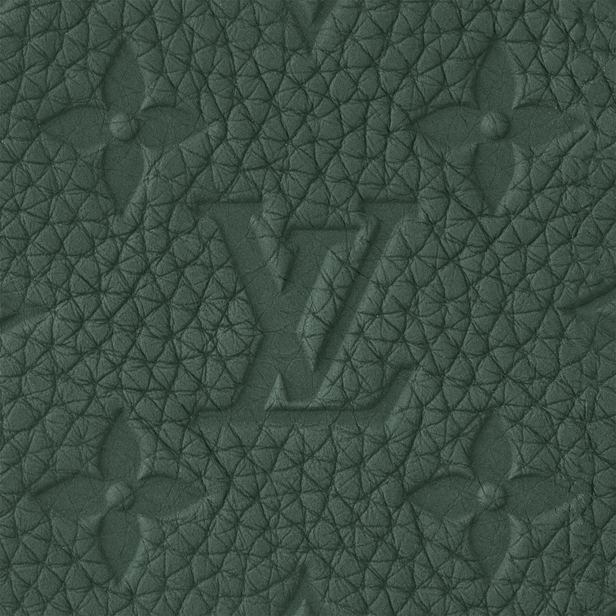Louis Vuitton LV Multiple Wallet - Luxury Compact Wallets - DARK GREEN