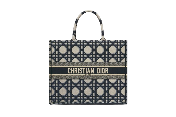Large Dior Book Tote  Beige and Blue Macrocannage Embroidery _42_x_35  Dior Couture