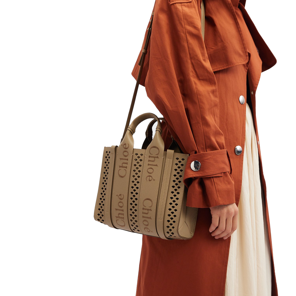 Chlo Woody small tote bag for Women