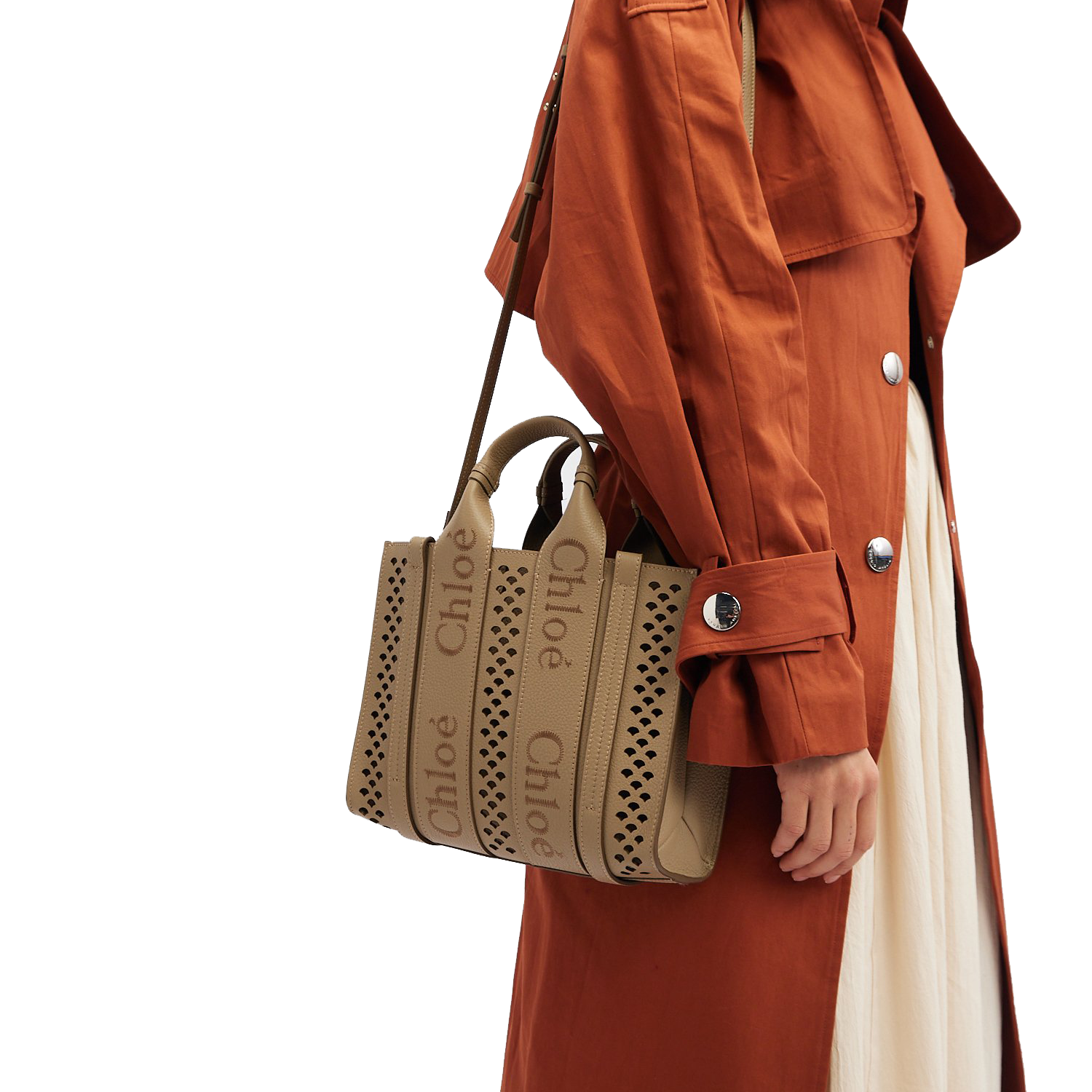 Chlo Woody small tote bag for Women