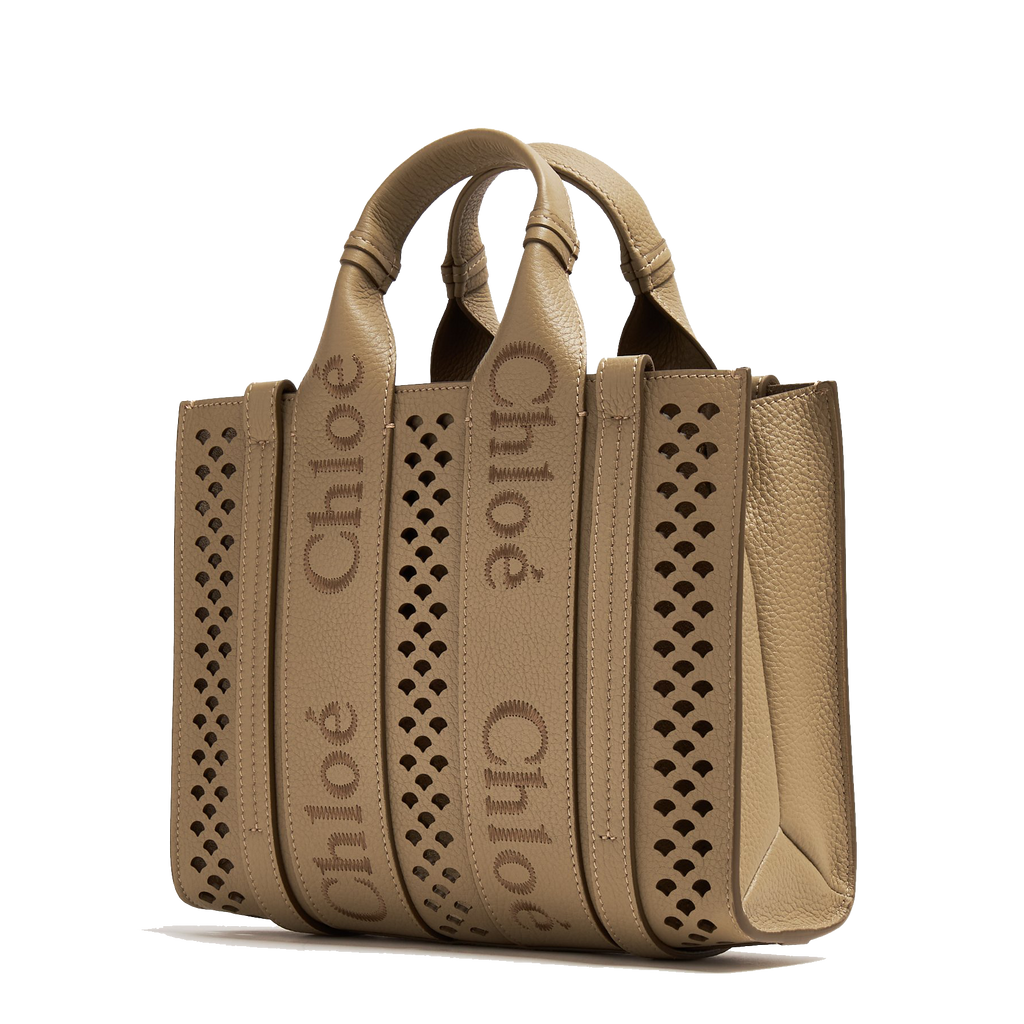Chlo Woody small tote bag for Women