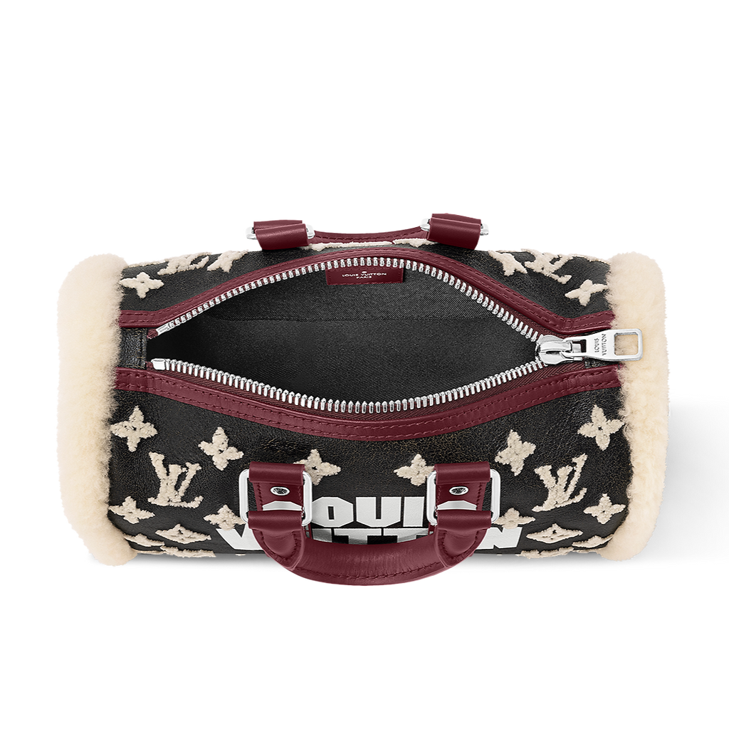 Louis Vuitton Keepall Bandouliere 25 brown