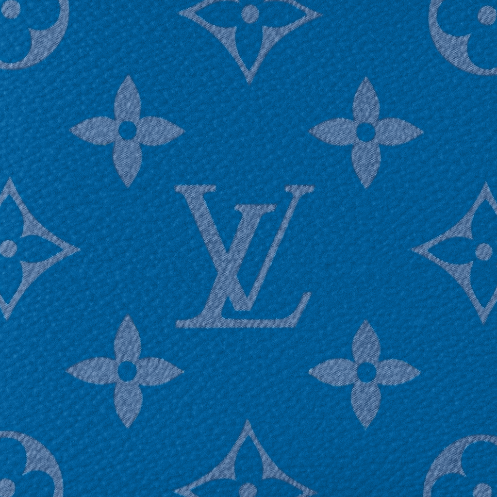 Louis Vuitton LV Multiple Wallet - Luxury Compact Wallets - BLUE
