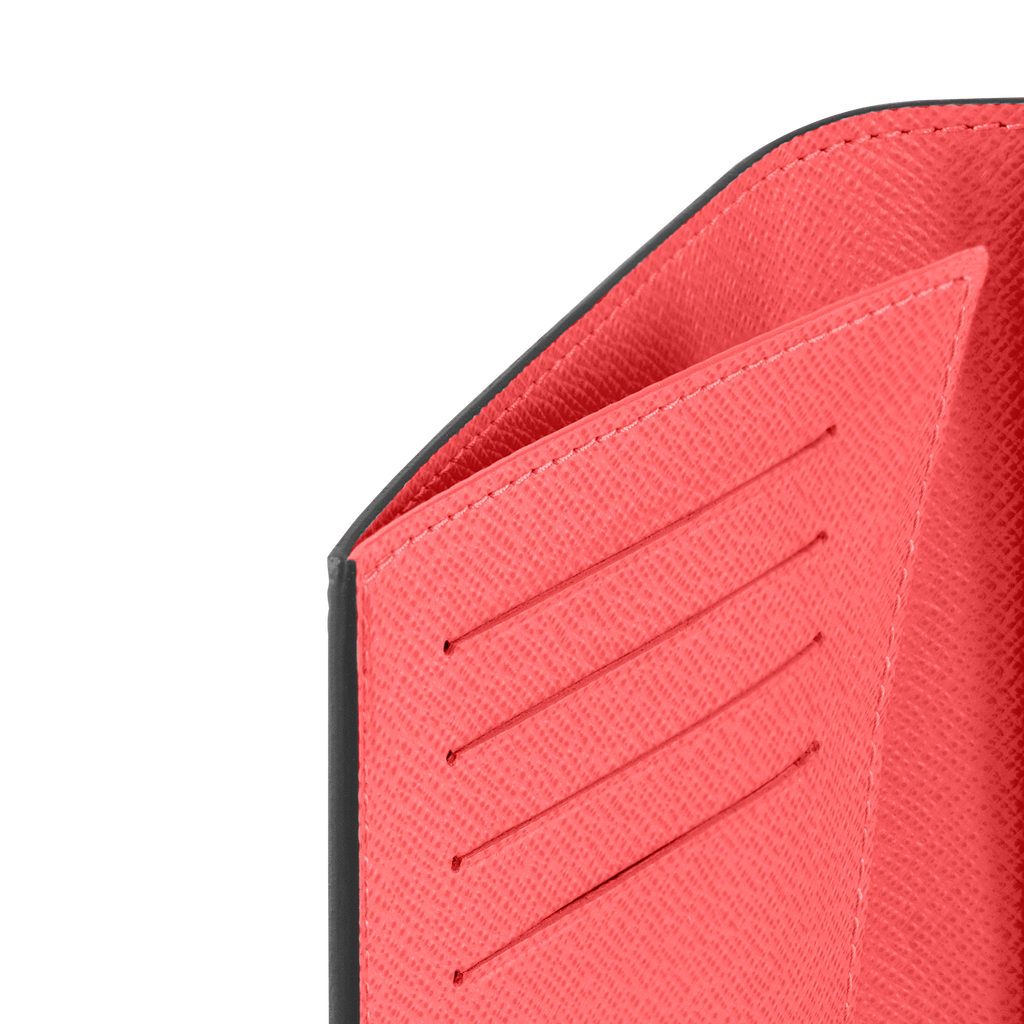 Louis Vuitton Passport Cover Brown painted edition