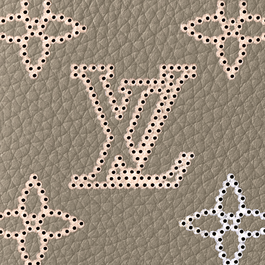 Louis Vuitton Passport Cover Grey pattern