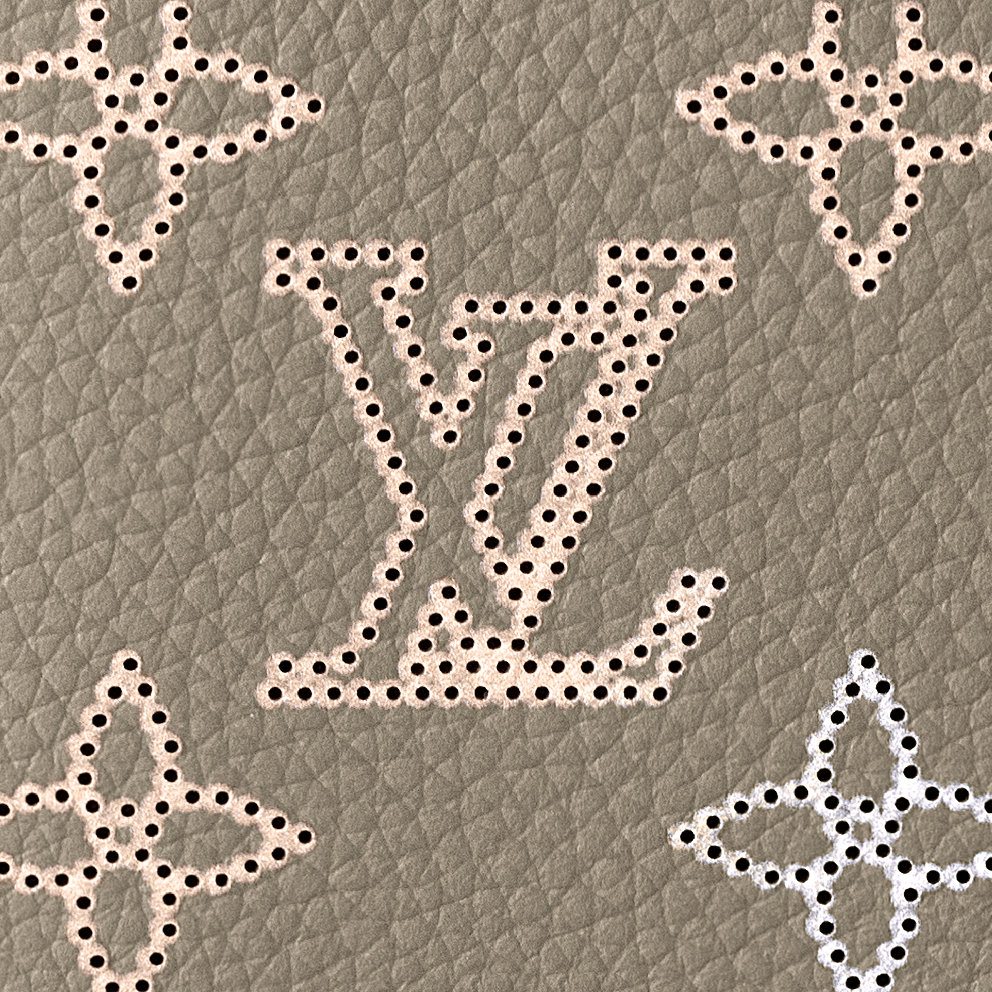 Louis Vuitton Passport Cover Grey pattern