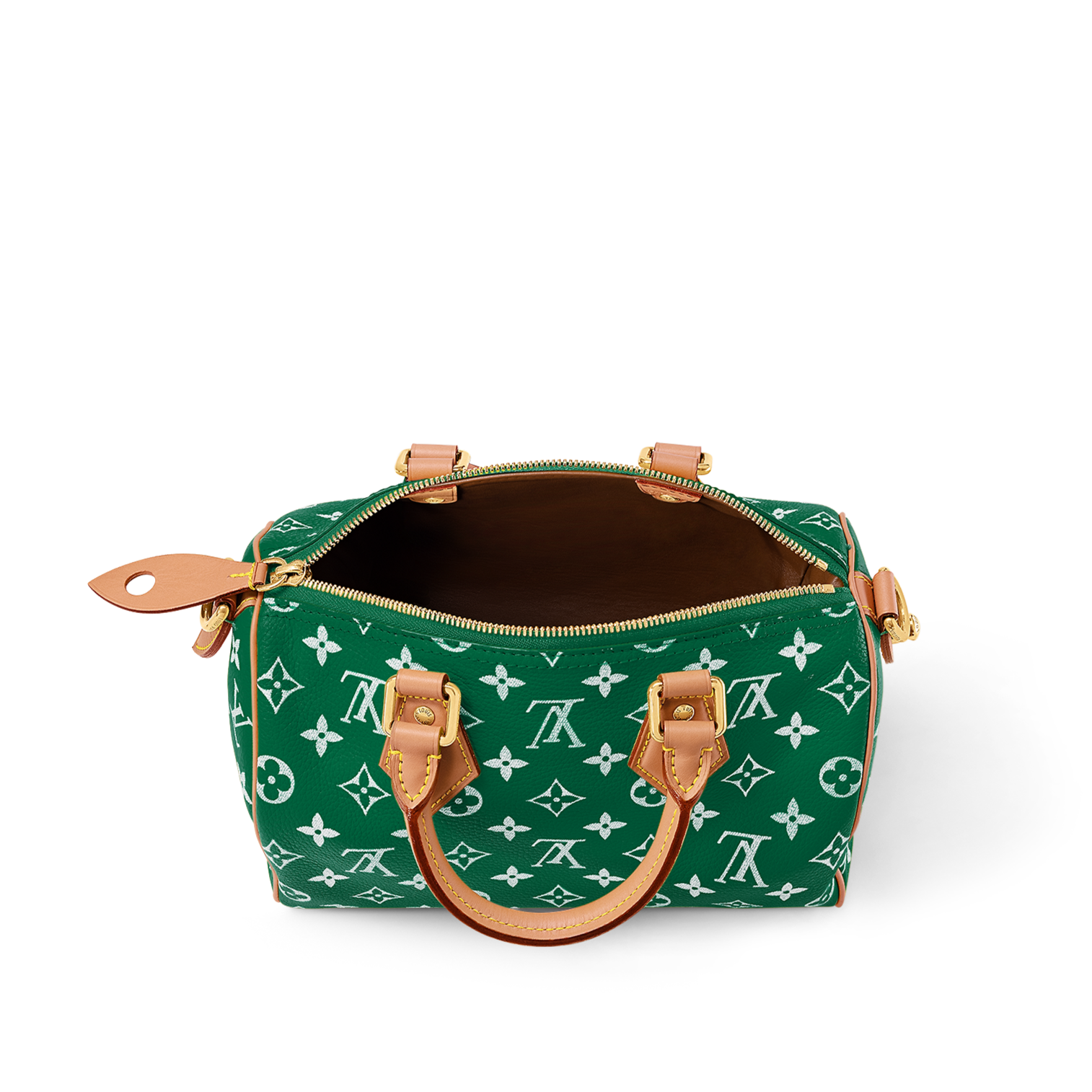 Louis Vuitton Speedy P9 Bandouli re 25 green