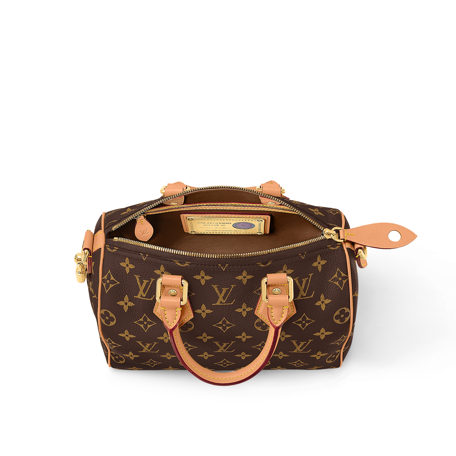 Louis Vuitton Speedy P9 Bandouli re 25 brown
